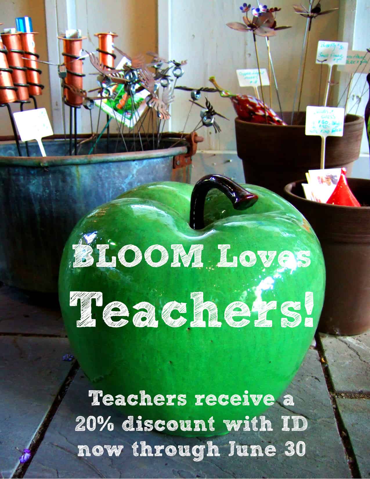 Bloom Teacher discount